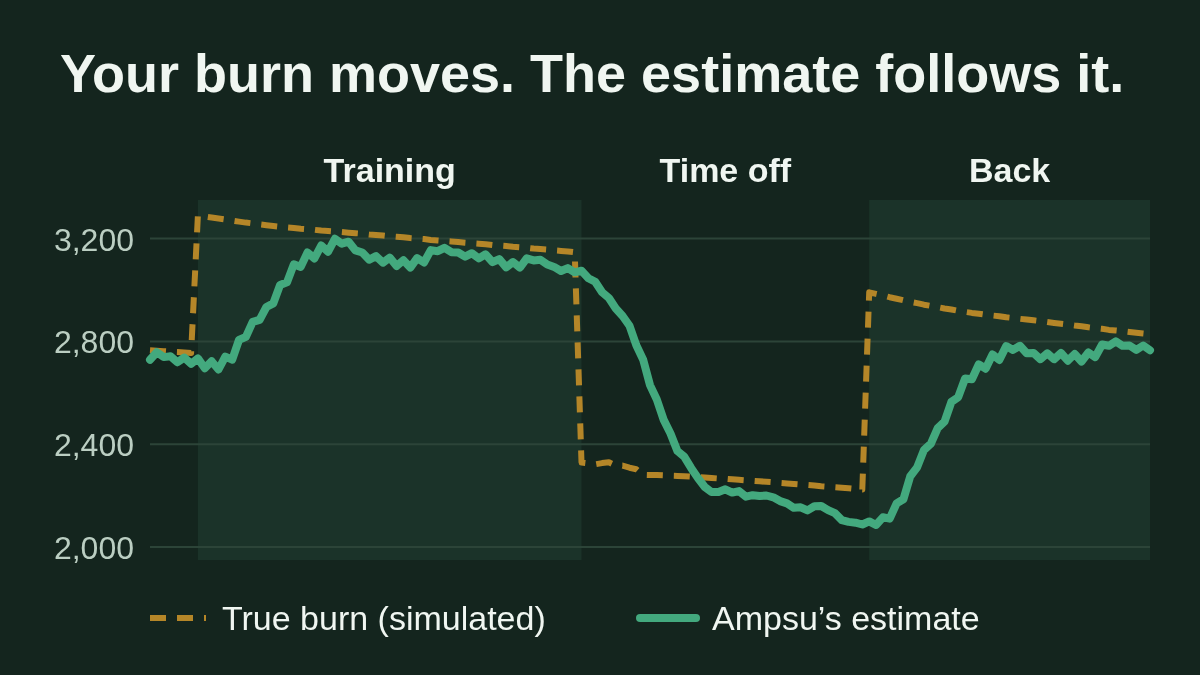 Metabolism mode: how Ampsu learns what you actually burn