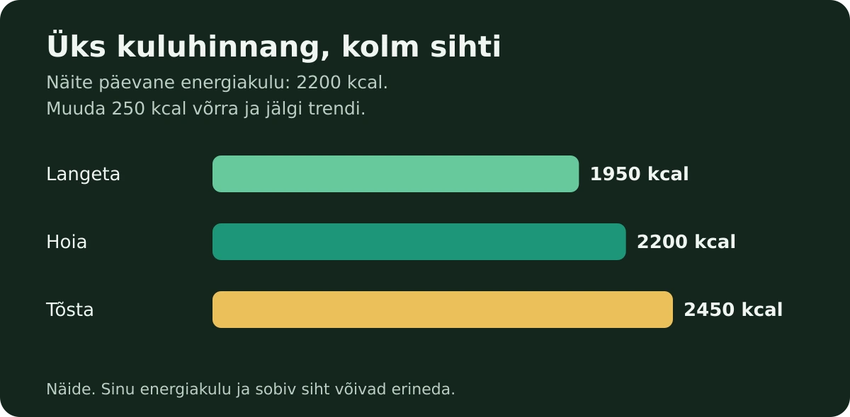 Kuidas kaloreid lugeda ilma iga kurgiviilu kaalumata