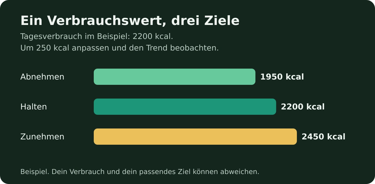 Kalorien zählen, ohne jede Gurke zu wiegen
