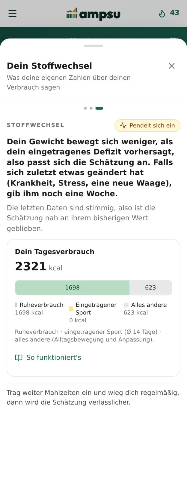 Ampsu-Coach zeigt den Tagesverbrauch aufgeteilt in Ruheverbrauch, eingetragenes Training und sonstige Bewegung