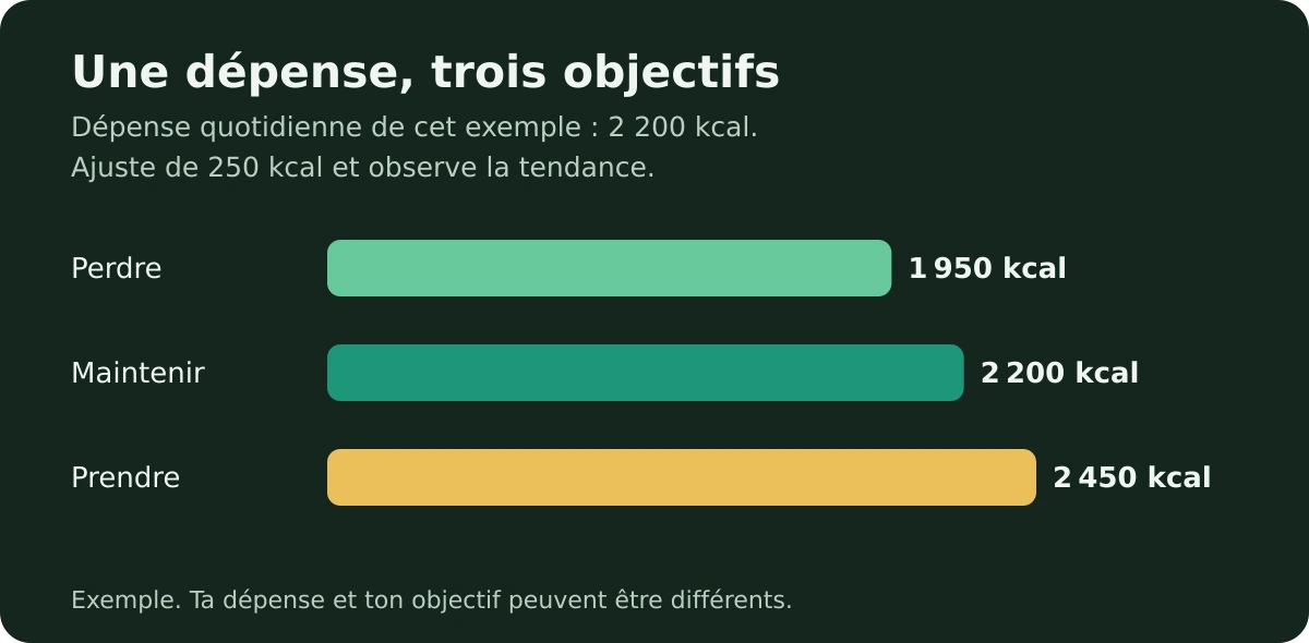 Compter ses calories sans peser chaque rondelle de concombre