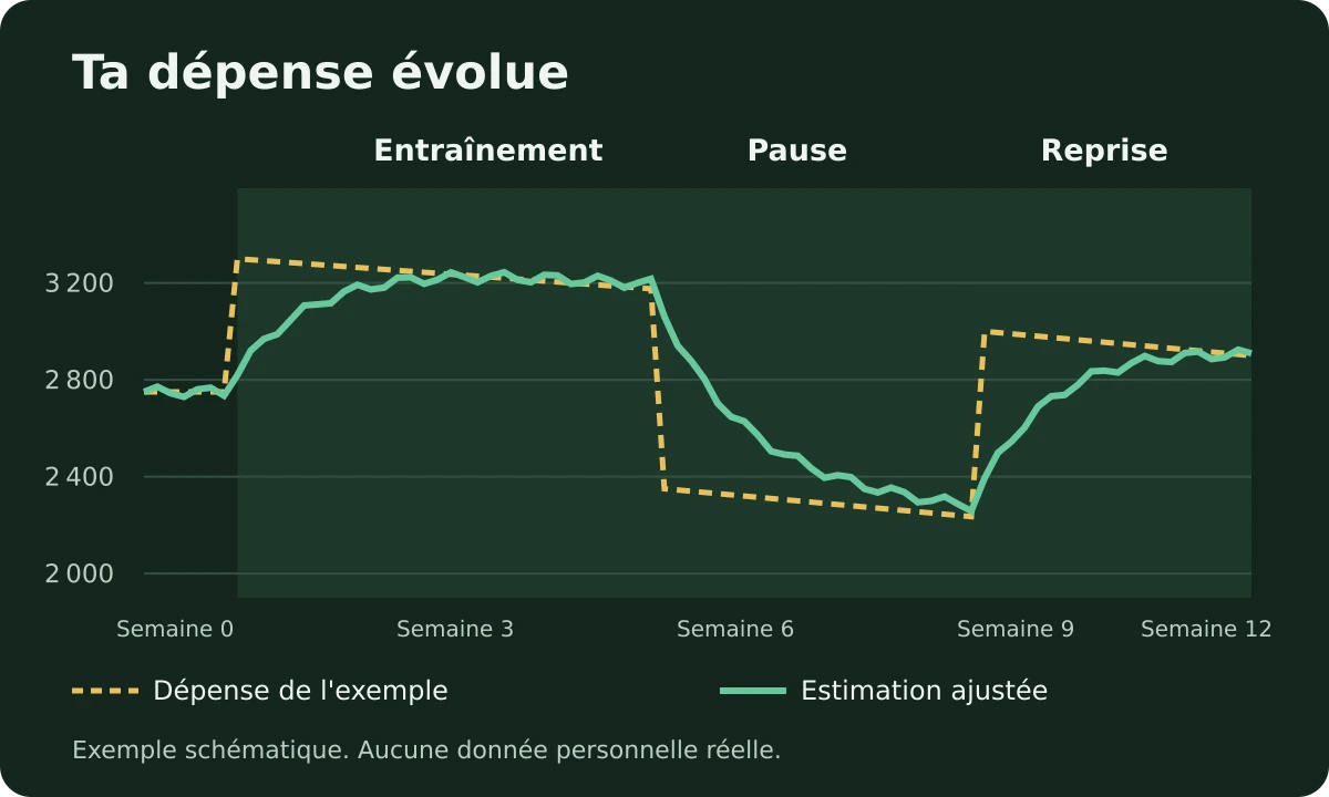 Mode Métabolisme : comment Ampsu apprend ta dépense réelle