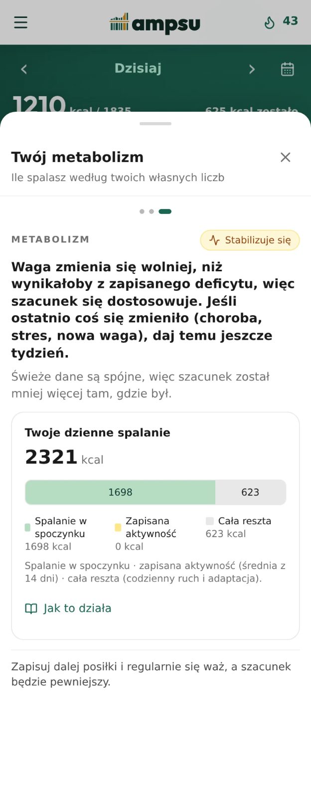 Coach w Ampsu dzieli dzienne spalanie na spoczynek, zapisany trening i pozostałą aktywność