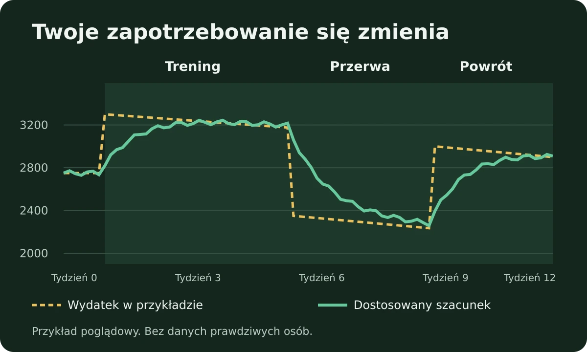 Tryb Metabolizm: jak Ampsu uczy się twojego zapotrzebowania