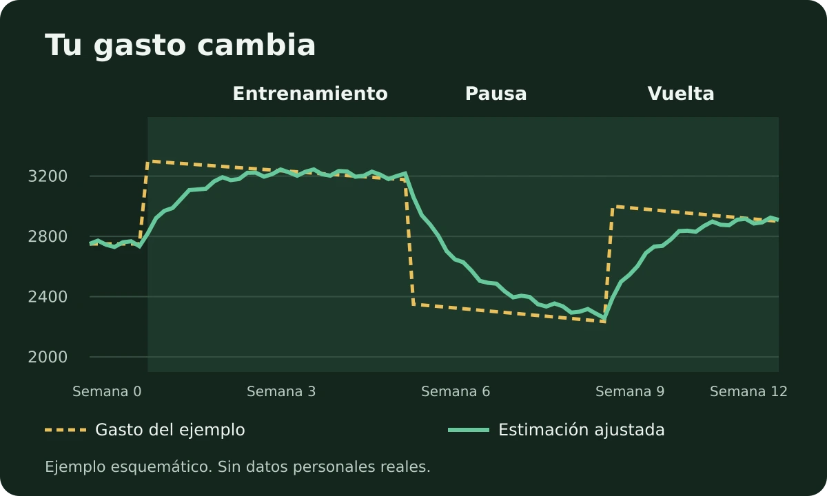 Modo Metabolismo: cómo Ampsu aprende tu gasto real