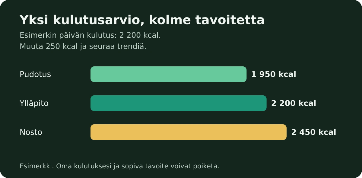 Kalorien laskeminen ilman jokaisen kurkkuviipaleen punnitsemista