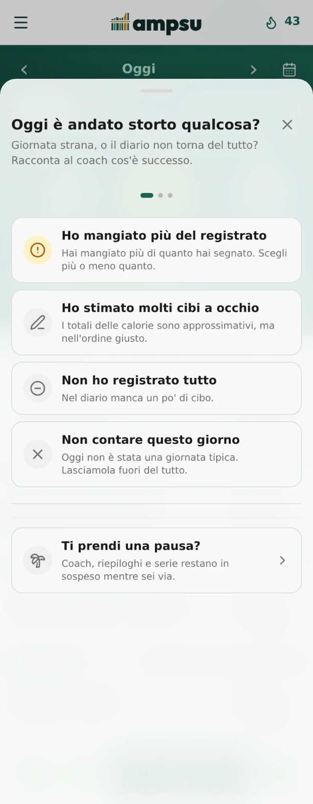 Schermata di Ampsu per indicare cibo non registrato, quantità stimate, un giorno da escludere o una pausa