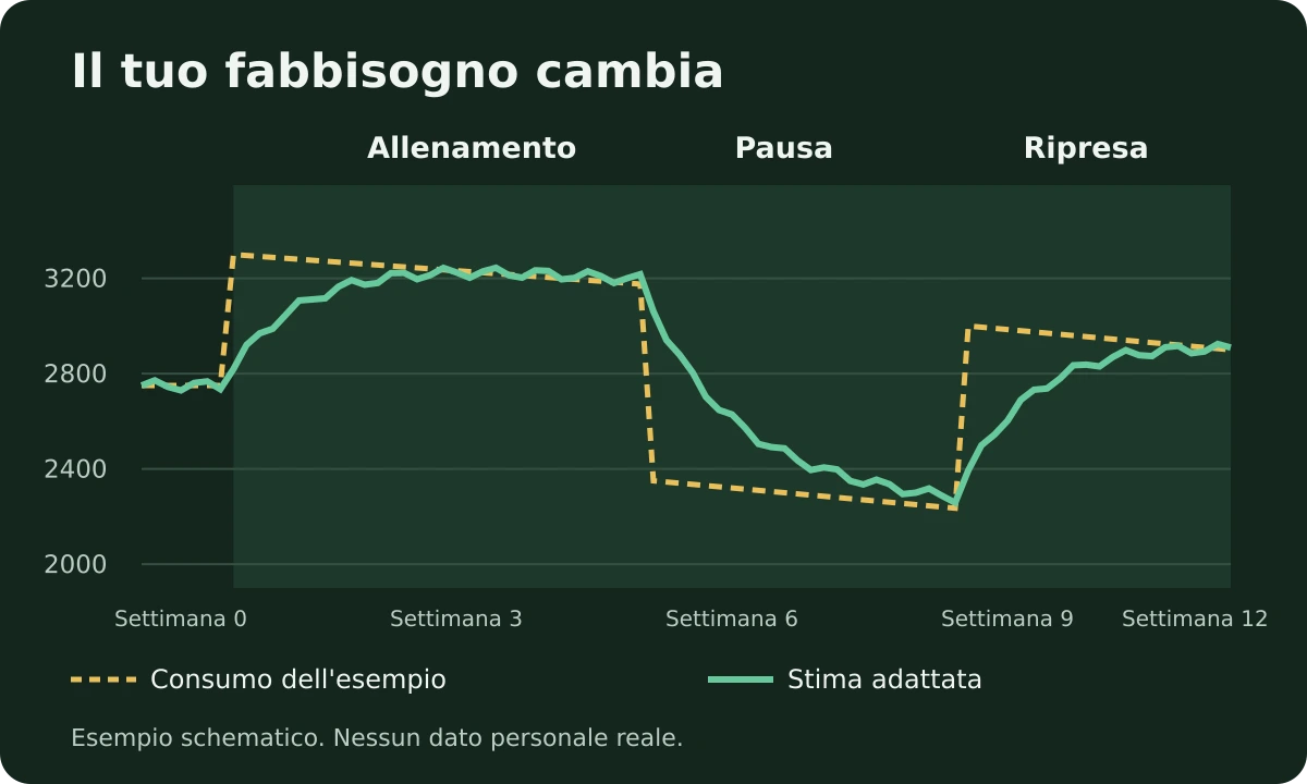 Modalità Metabolismo: come Ampsu impara il tuo consumo reale