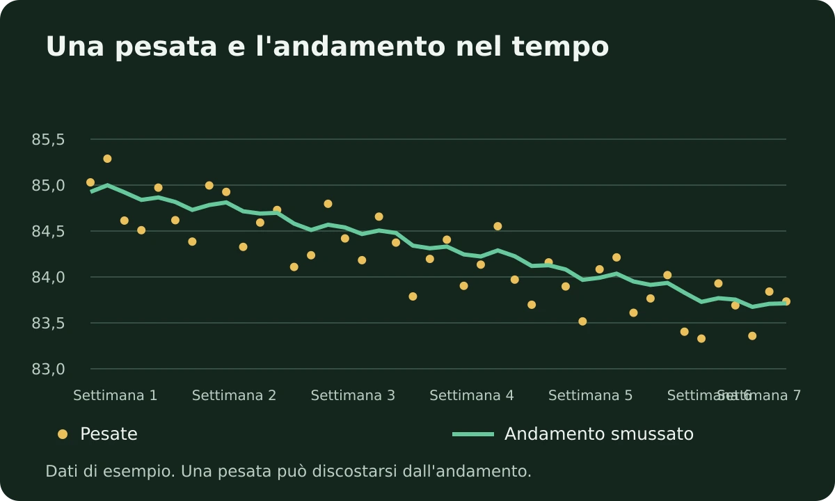 Sei settimane di pesate di esempio oscillano intorno a un andamento smussato in discesa