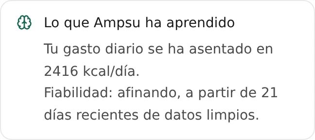 Tarjeta de estimación de Ampsu para la cuenta de ejemplo, con gasto diario estimado y confianza en proceso de ajuste basada en 21 días recientes.